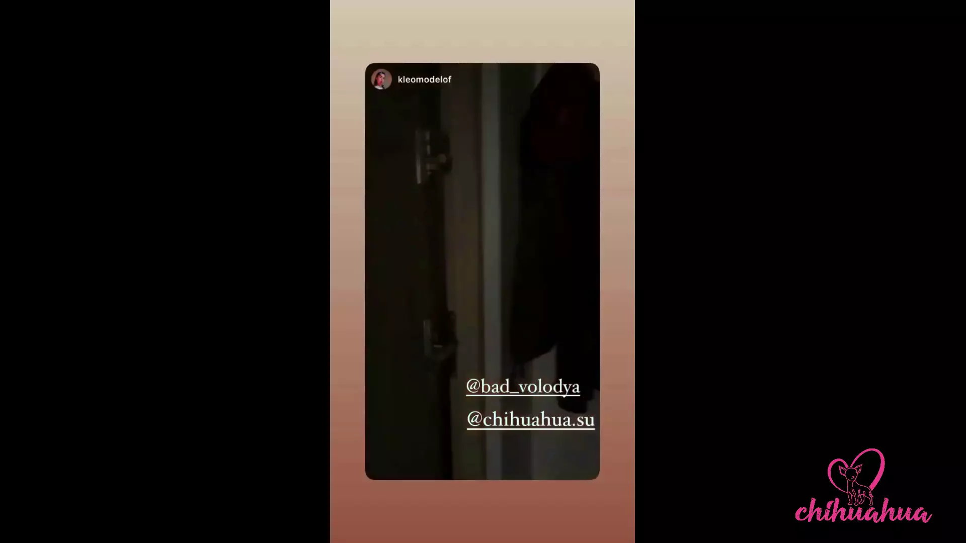 Vlog Chihuahua. Dzień Z Kleomodel Zakończony Ruchaniem W Lesie thumbnail