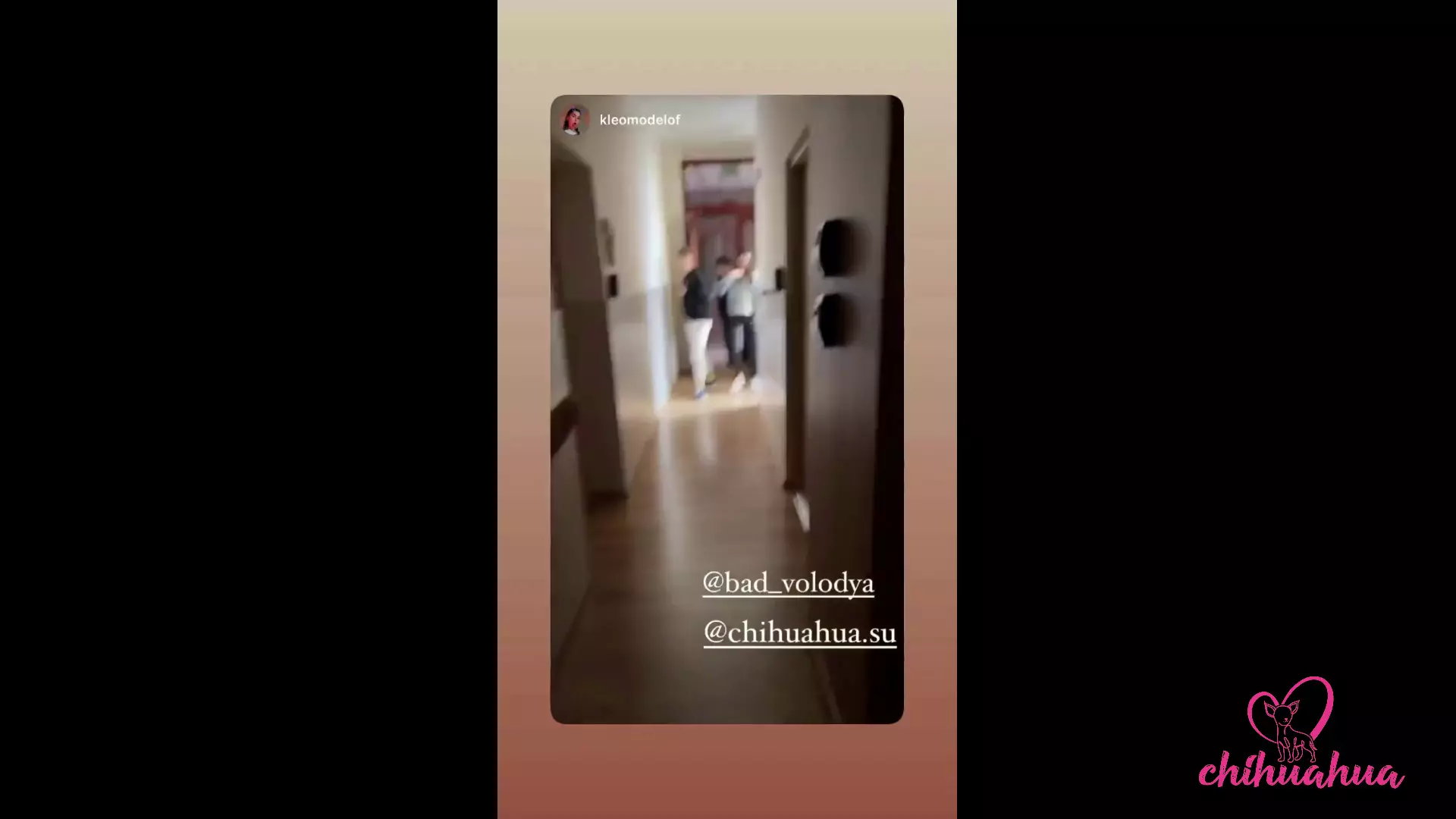 Vlog Chihuahua. Dzień Z Kleomodel Zakończony Ruchaniem W Lesie thumbnail
