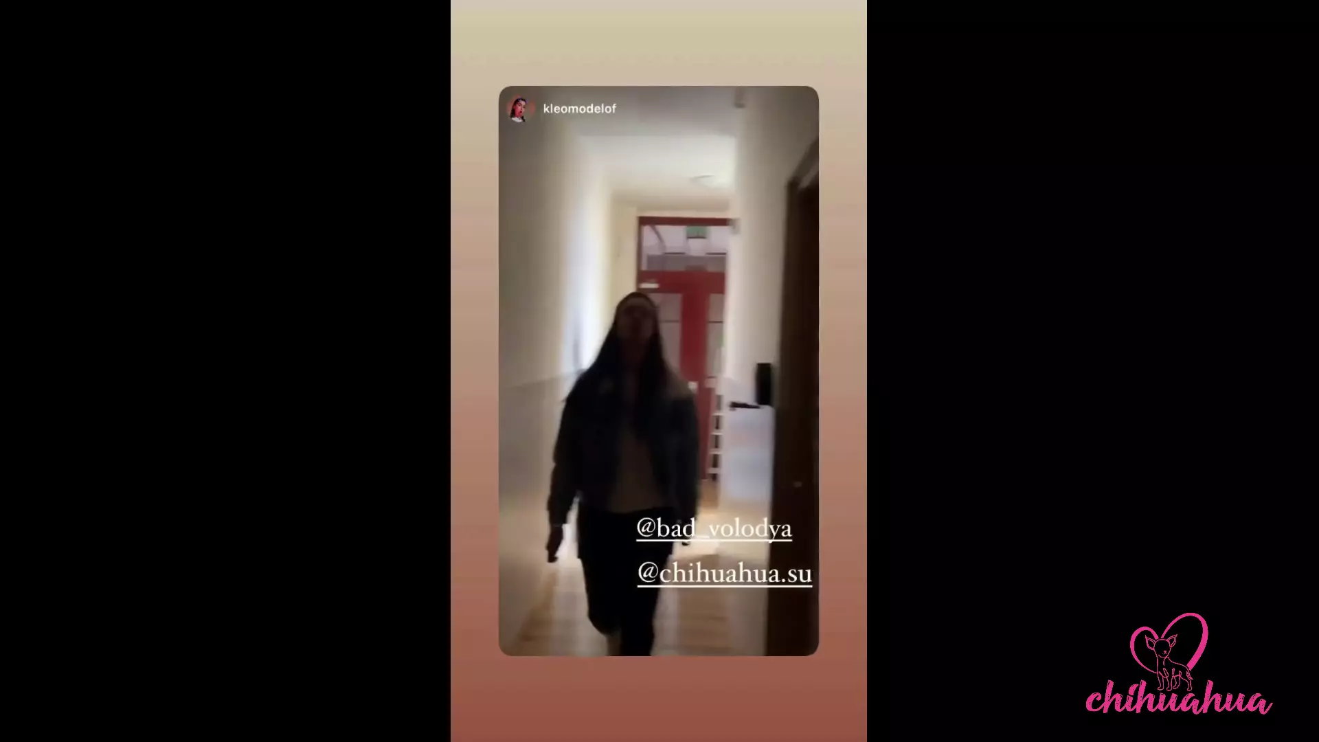 Vlog Chihuahua. Dzień Z Kleomodel Zakończony Ruchaniem W Lesie thumbnail
