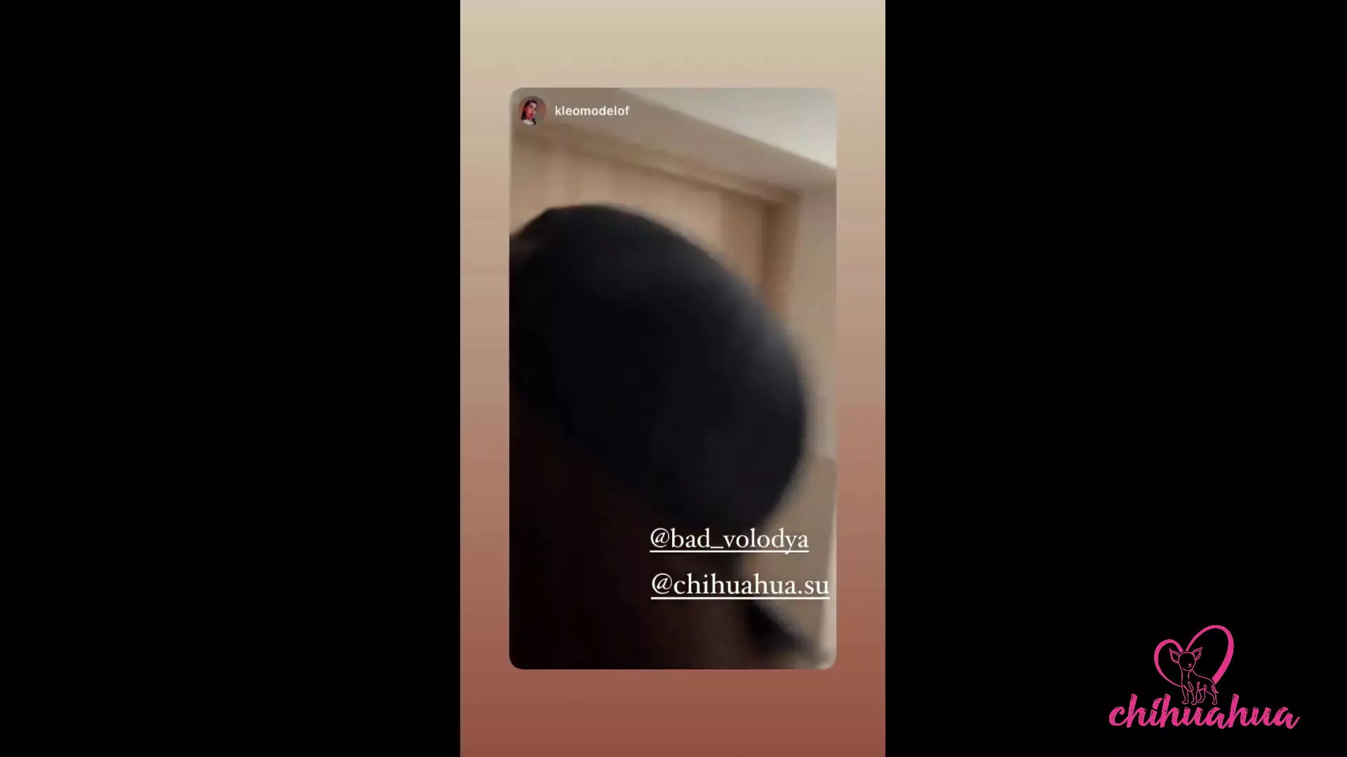 Vlog Chihuahua. Dzień Z Kleomodel Zakończony Ruchaniem W Lesie thumbnail