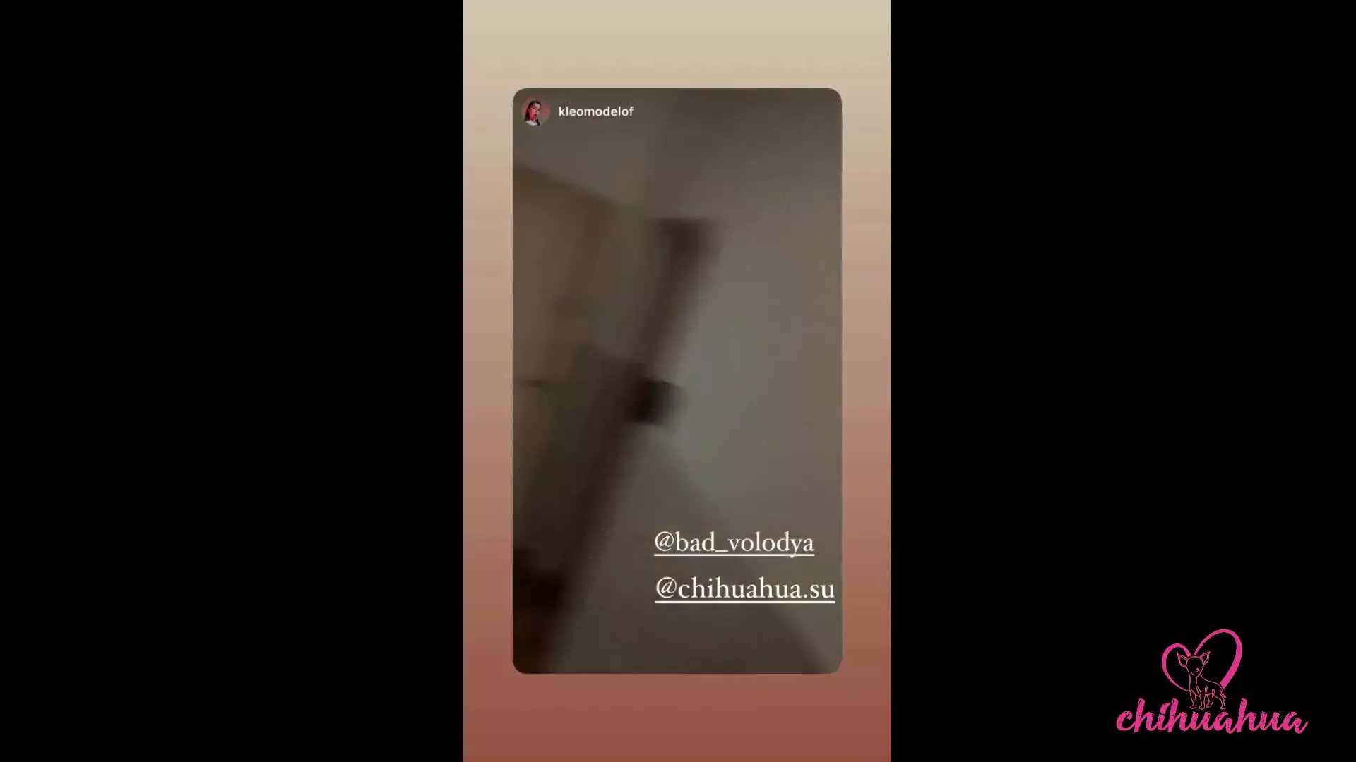 Vlog Chihuahua. Dzień Z Kleomodel Zakończony Ruchaniem W Lesie thumbnail