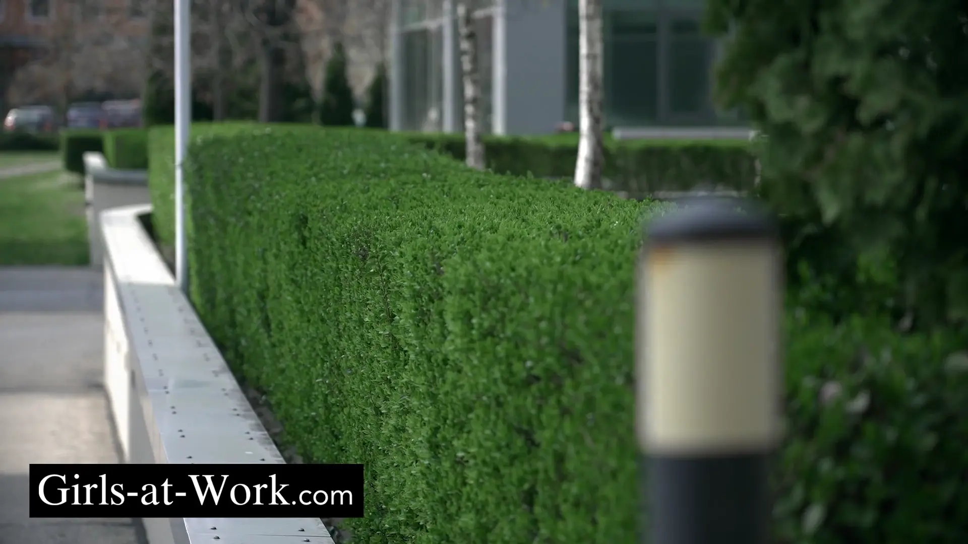 The Director Confronted with Her Desires thumbnail