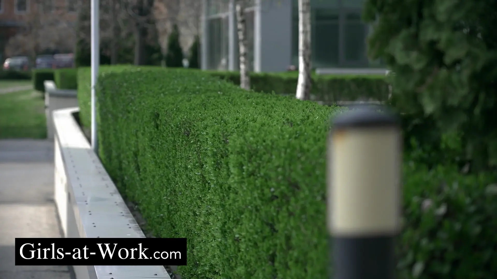 The Director Confronted with Her Desires thumbnail