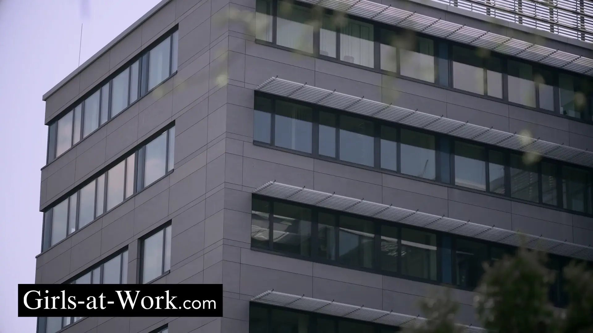 The Director Confronted with Her Desires thumbnail