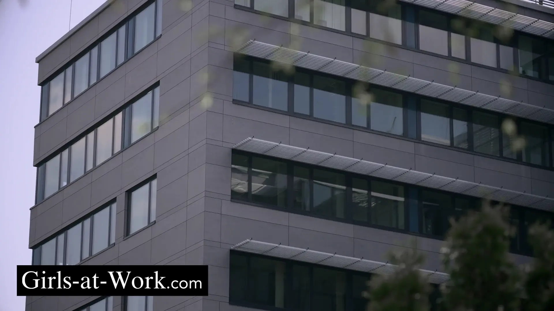 The Director Confronted with Her Desires thumbnail