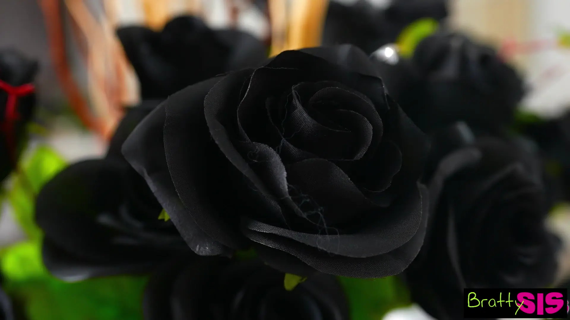 Angel Gostosa Takes Steobro\